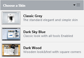 Choose a Skin Window Choose a Skin Window